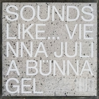 SOUNDS LIKE…VIENNA | Julia Bünnagel