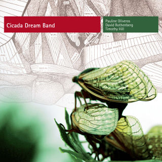 Cicada Dream Band | Pauline Oliveros & David Rothenberg & Timothy Hill