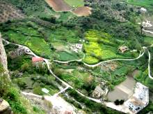 photo: etzin