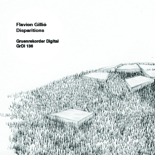 Disparitions | Flavien Gillié