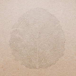 songs for forgetting | murmer