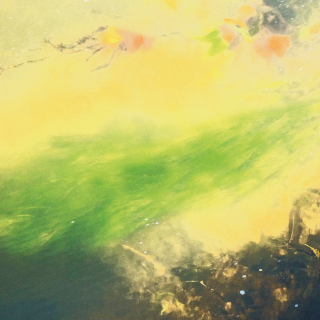 Kozmické louky | Magdaléna Manderlová