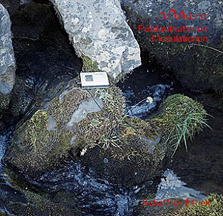 Island | Raw Audio (Schaffner/Riek)