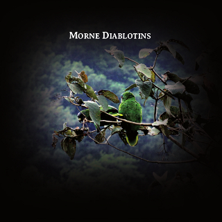 MORNE DIABLOTINS | Rodolphe ALEXIS