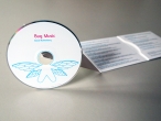 Bug Music | David Rothenberg
