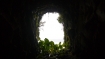 Darkness in Daylight | Pierce Warnecke