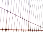 Four walks around a year: autumn | Sebastiane Hegarty