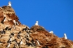 Helgoland | Lasse-Marc Riek