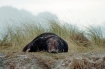 Helgoland | Lasse-Marc Riek