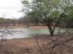 10 Waterhole 1