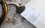 A soft hiss of this world | Tim Ingold & Carmen Pardo & Mikel R. Nieto